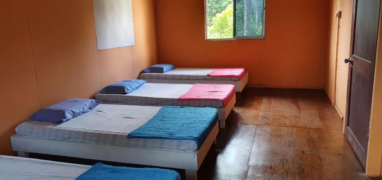 Mulu Homestay מראה חיצוני תמונה