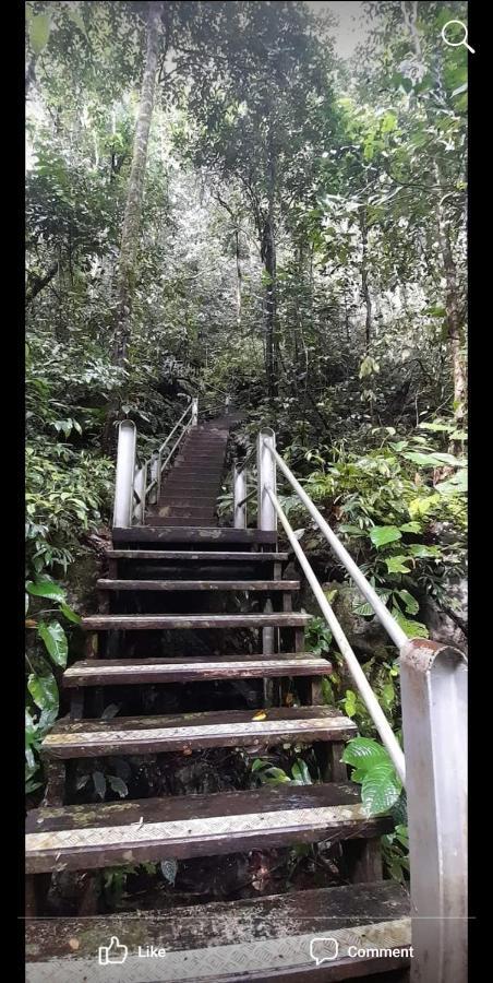 Mulu Homestay מראה חיצוני תמונה